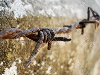 Barbed Wire