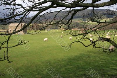 The Dales near Hawes