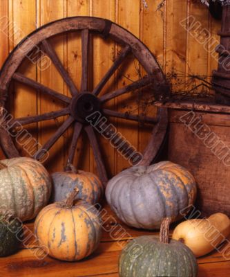 pumpkin and wheell