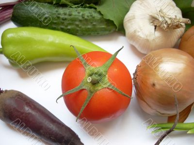 Many different vegetables