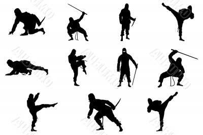 Ninja Ninja