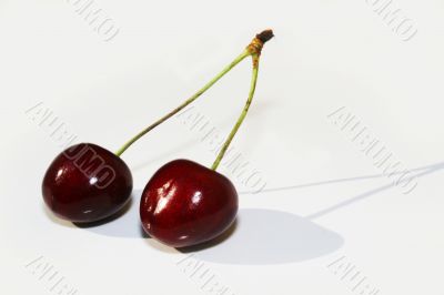 Cherries Cherries