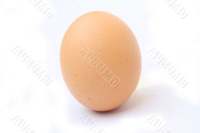 Speckled Egg on white
