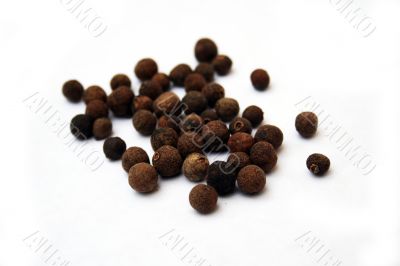 Allspice