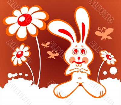 rabbit and flowers rabbit and flowers