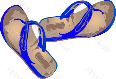 Blue slippers Blue slippers