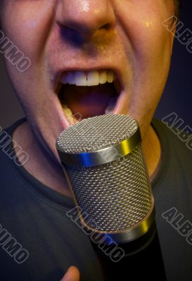Vocalist & Microphone Vocalist & Microphone