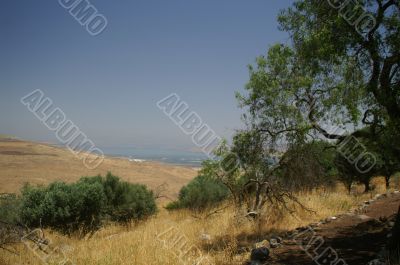 Galilee landscape Galilee landscape