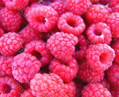raspberries