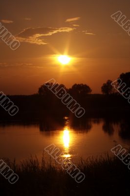 Years solar decline in area Okskogo of Reserve