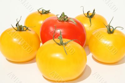 Tomatoes in arrangement