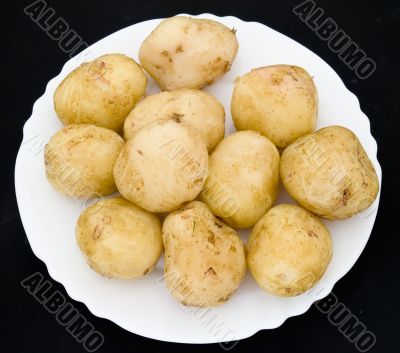 Potatoes Potatoes