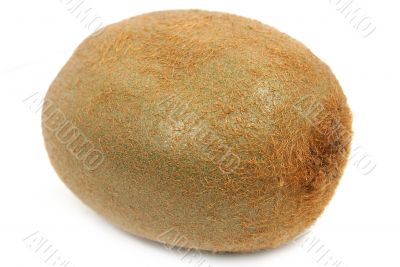 kiwi fruit