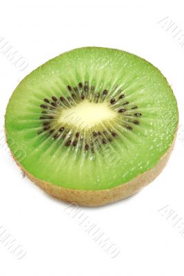 kiwi over white