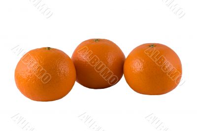 Three ripe oranges on a white background