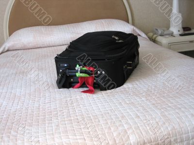 the traveler the traveler