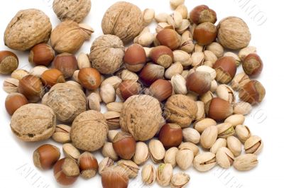 nut on white background