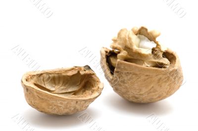 Open walnut