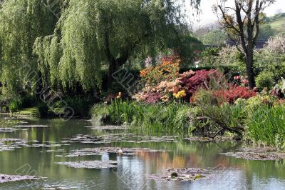 Spring reflections