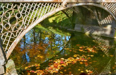 Fallen leaves in water under arc of bridge