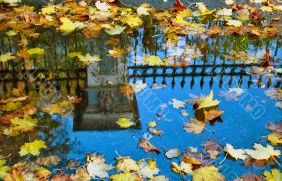 Fall and a reflection in water