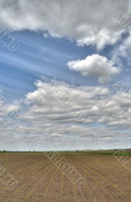 landscape landscape