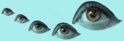 eye macro eye macro
