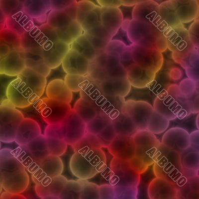Bacterial cells Bacterial cells