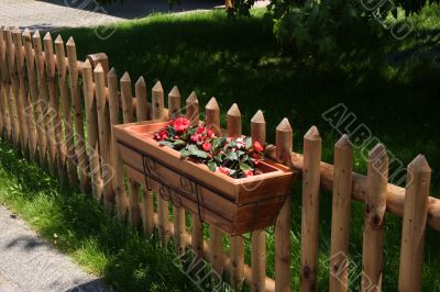 Flowers on fence Flowers on fence
