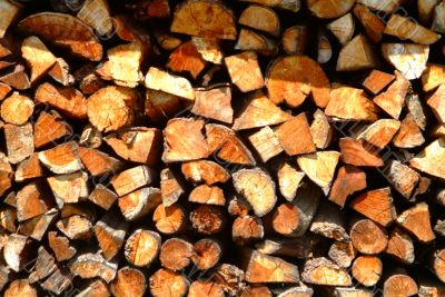 wooden log wooden log
