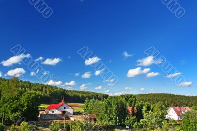 countryside with cottages and forest