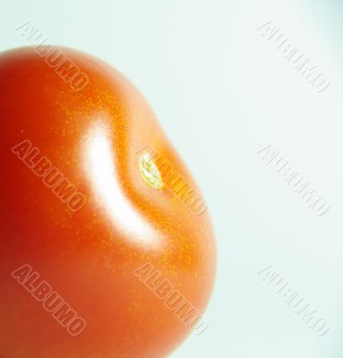 tomato skin red macro