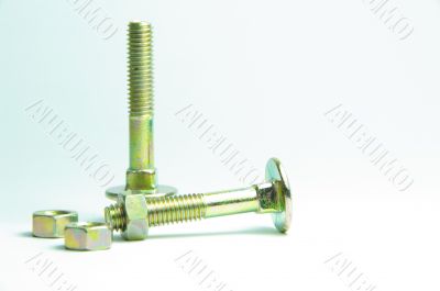 screw golden screw golden