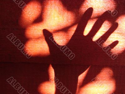hand shadow hand shadow