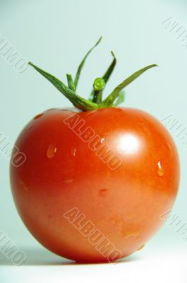 tomato red macro tomato red macro