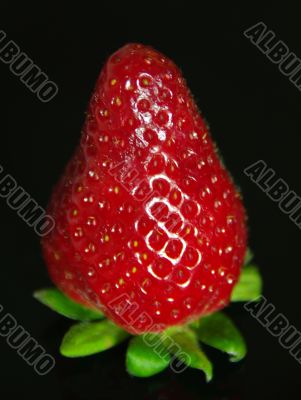 strawberry strawberry