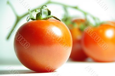 tomatos red macro tomatos red macro