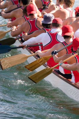 Dragon Boat Crew