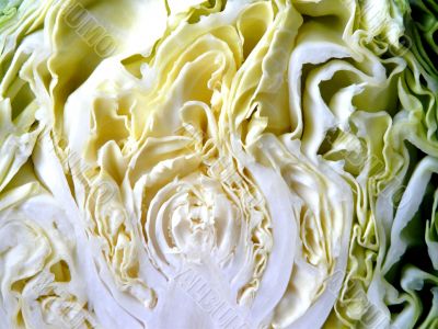 Cabbage2