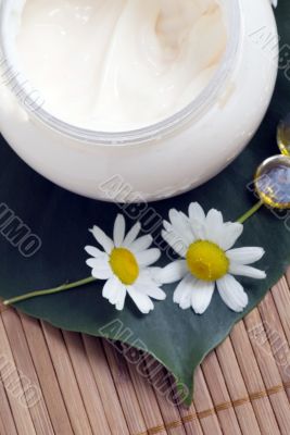 Chamomile and face cream  - natural body-care