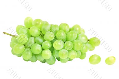 White grapes