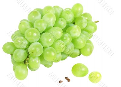 White grapes