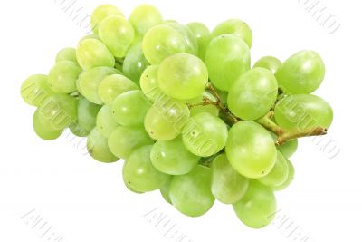 wite grapes