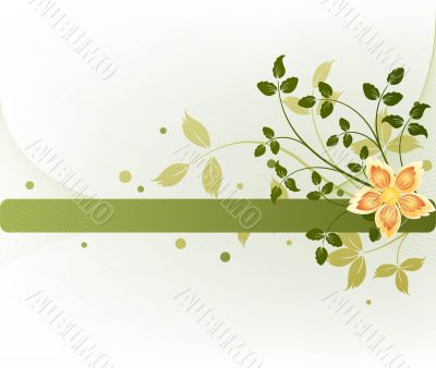 Floral  background vector