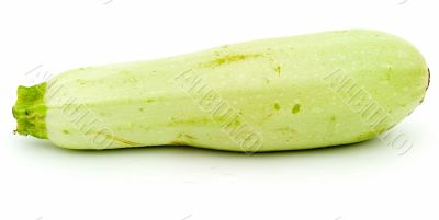vegetable marrow vegetable marrow