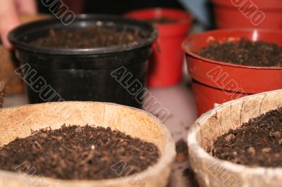 Seedling preparation