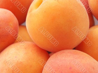 Apricots Apricots