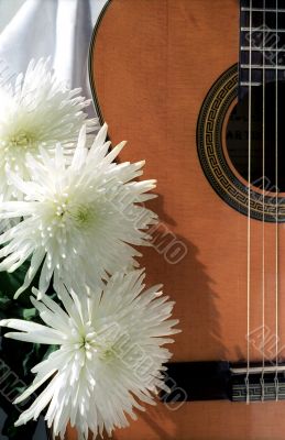 Guitar with three chrysanthemums