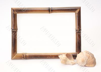 Frame from a bamboo and two shells