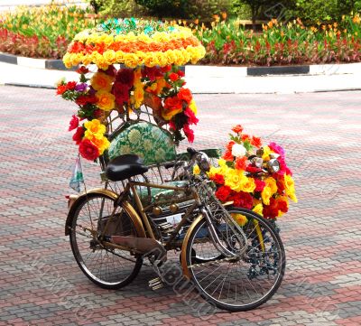 Trishaw D